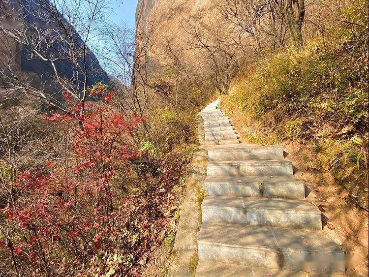 銅川照金大山裡有座紅軍兵營