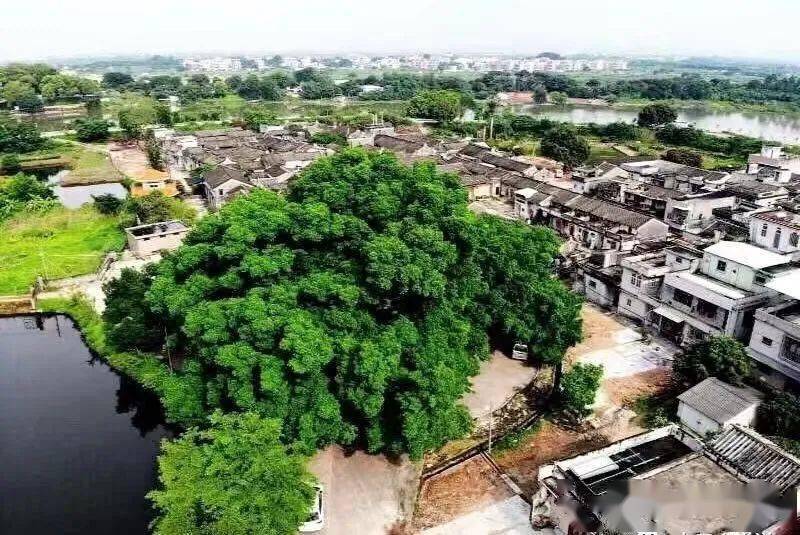 明天啟元年(公元1621年),福建莆田人來此建村,取名為