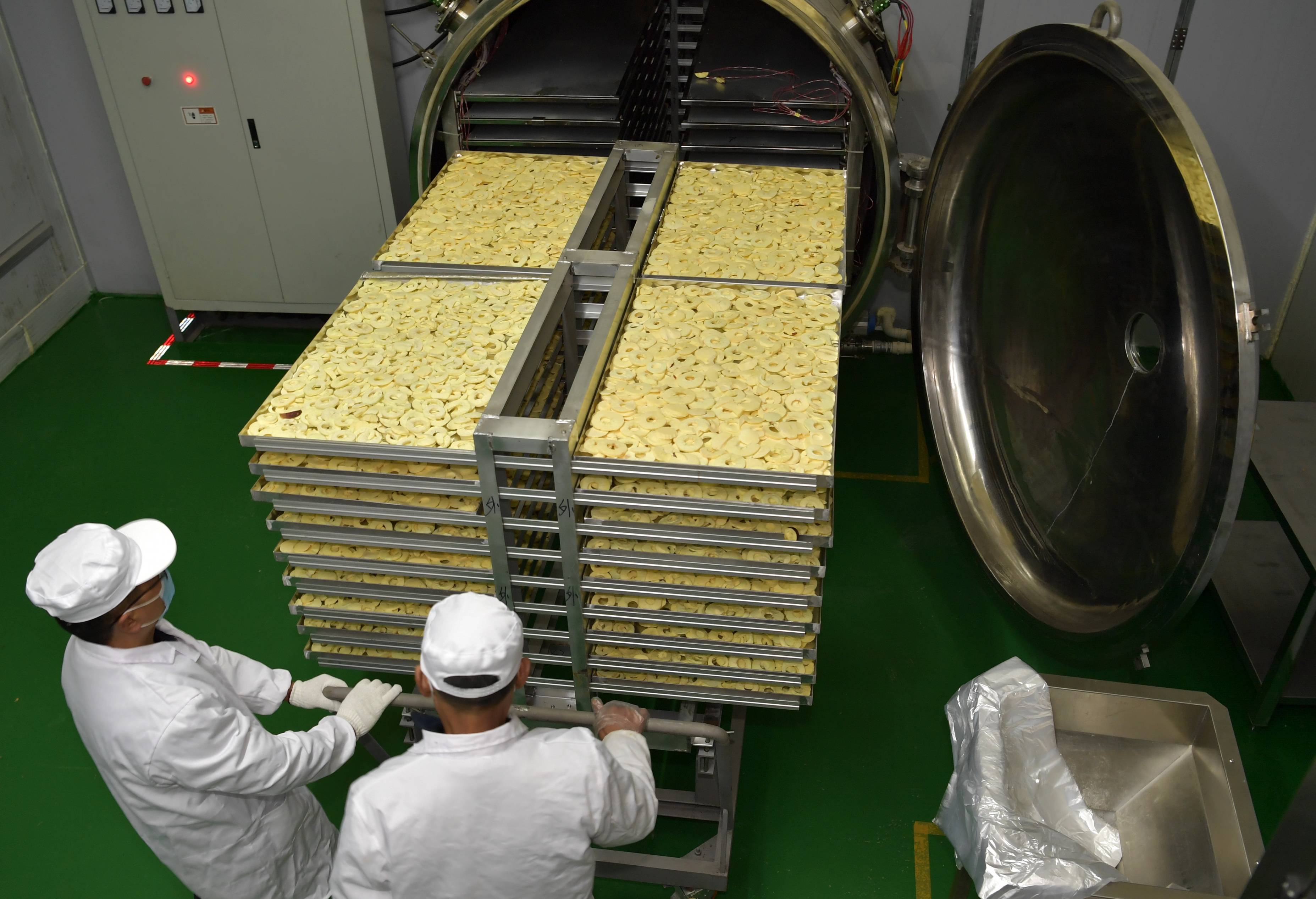 牧综合有限公司工作人员将加工完成的低温冻干苹果脆片从冻干机中拉出