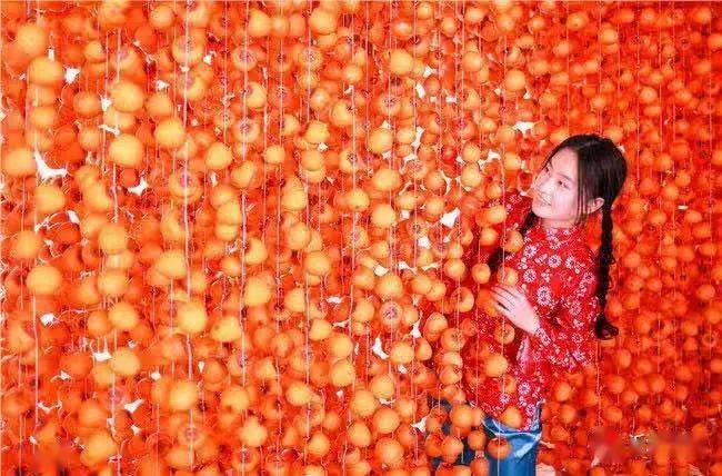 齐风冬韵 | 淄博这里到处挂满了"红灯笼",是"柿候"出去撒欢了_柿子