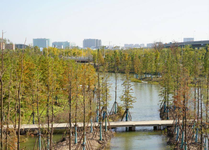 碧云(张家浜)楔形绿地北靠金桥,南临张江高科技园区,西侧紧邻陆家嘴