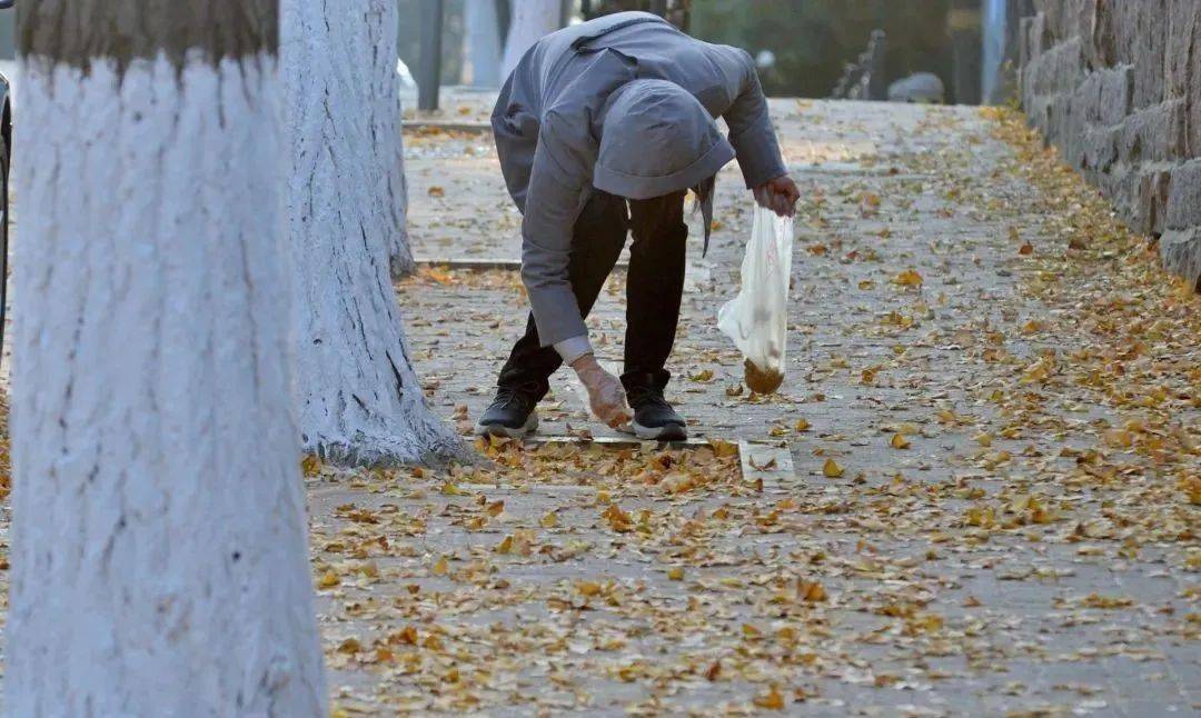 有人中招被送icu!潍坊路边的这东西千万别捡!