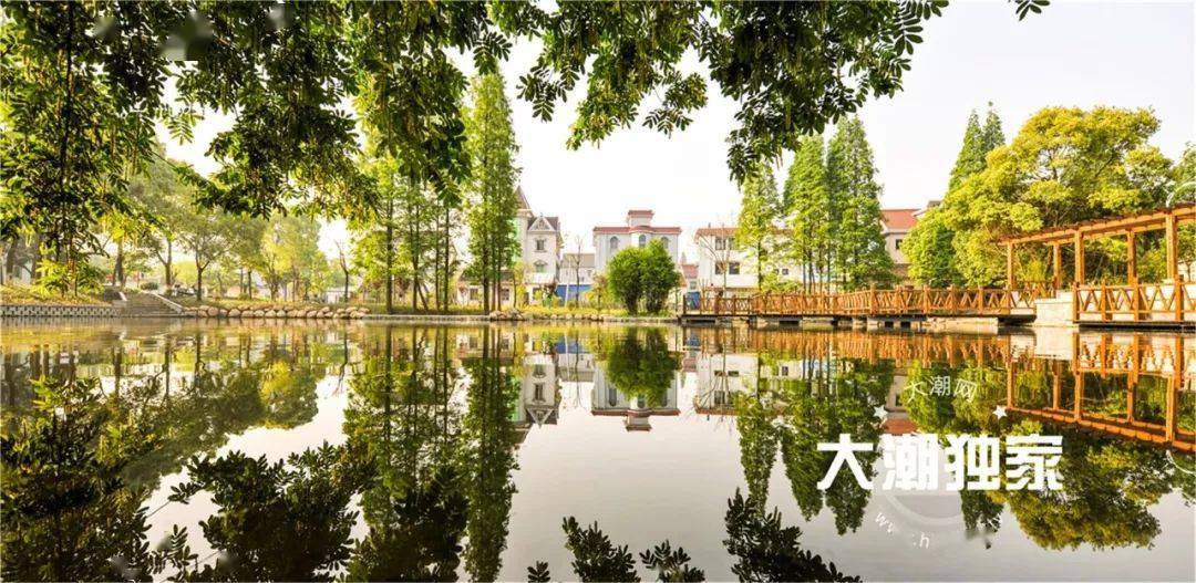 去年博儒桥村接待游客1.