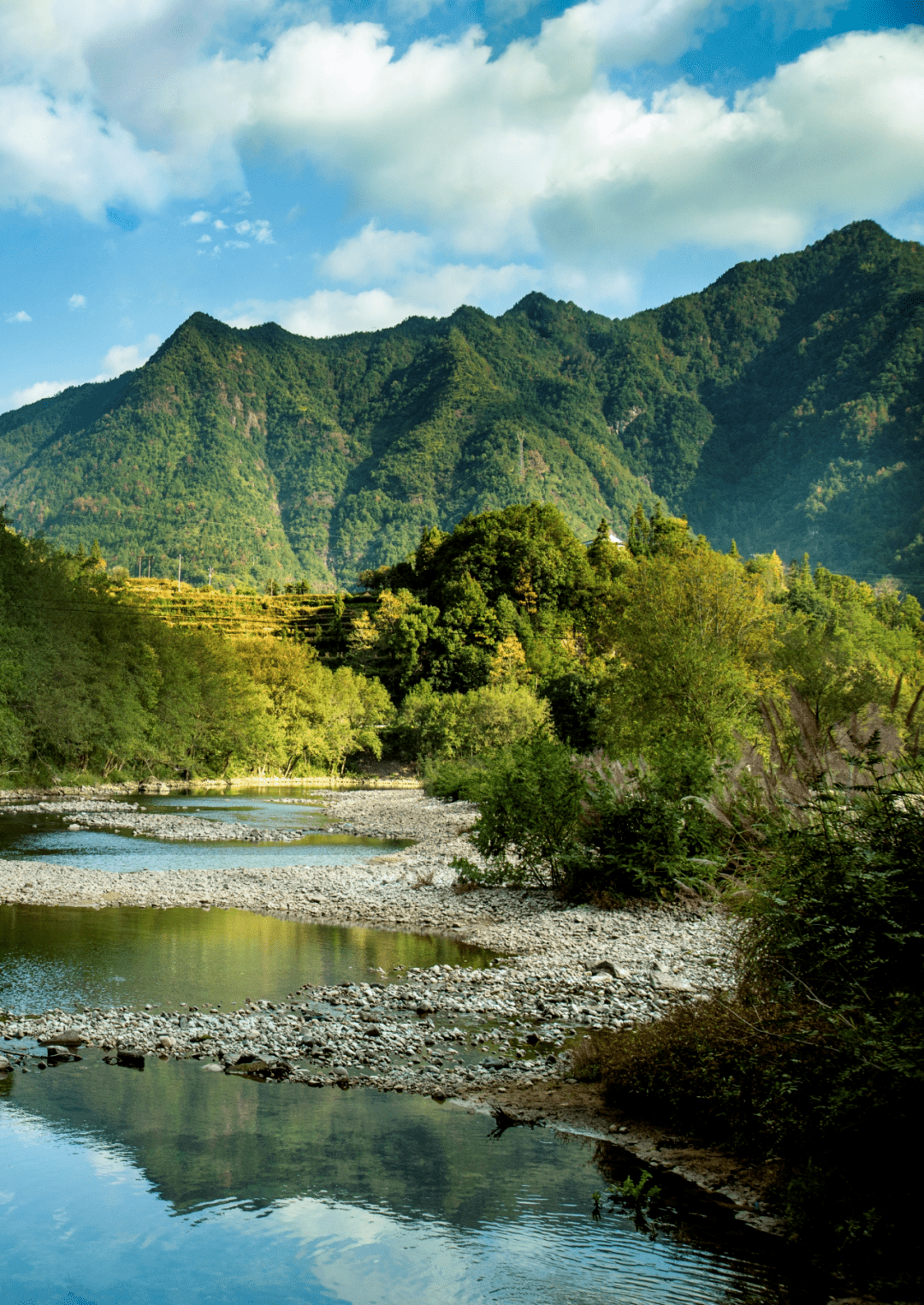 永嘉县巽宅镇巽宅村入选,我市又新增15个3a级景区村!_村庄