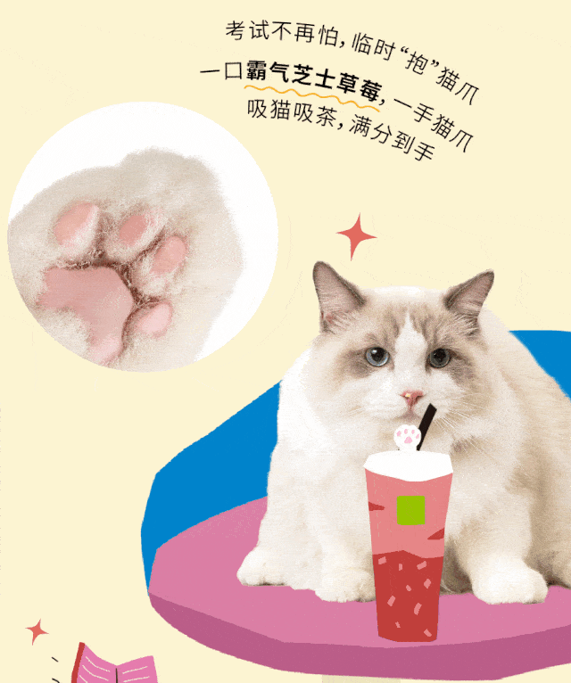 背着猫偷偷喝了口奶茶后有点不对劲啊