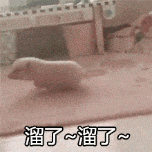 近期潮图热门表情包