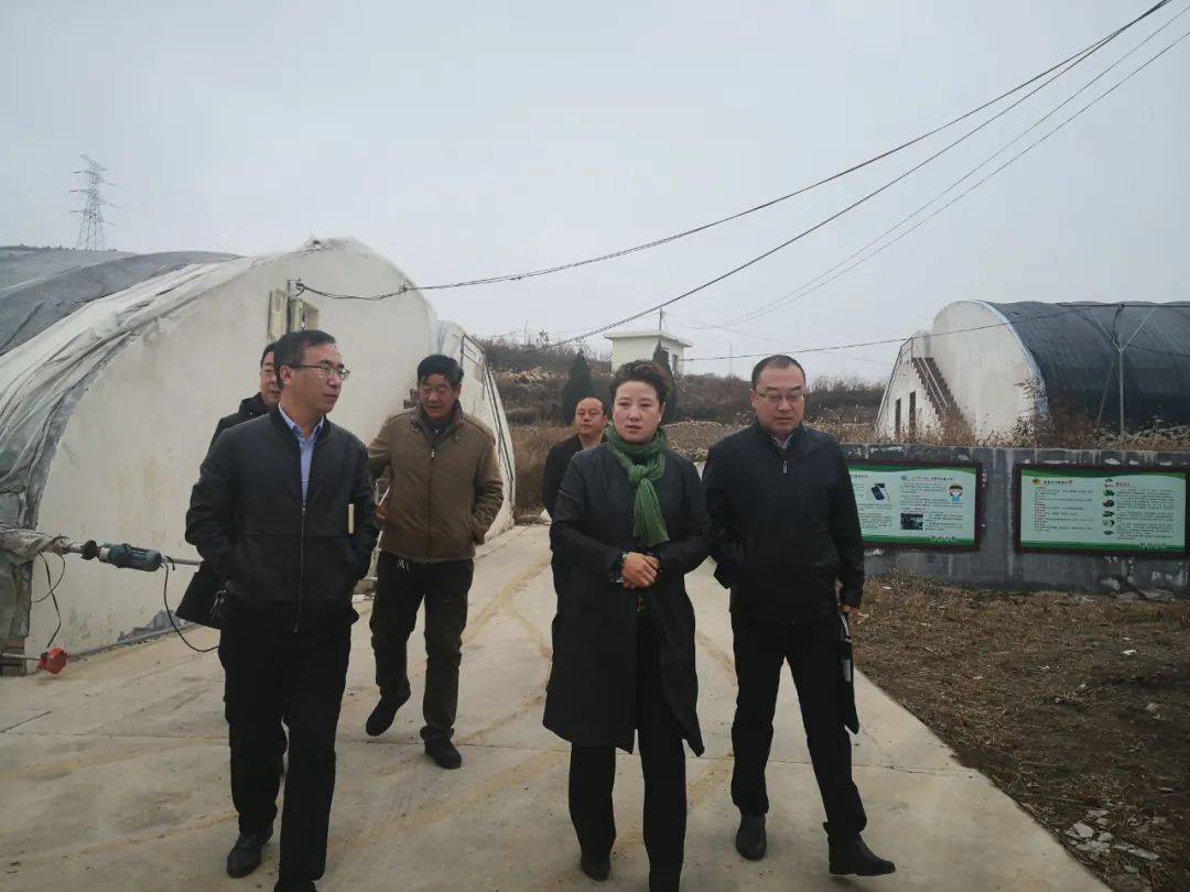 高平市委副书记高俊霞深入北诗镇野沟村进行调研