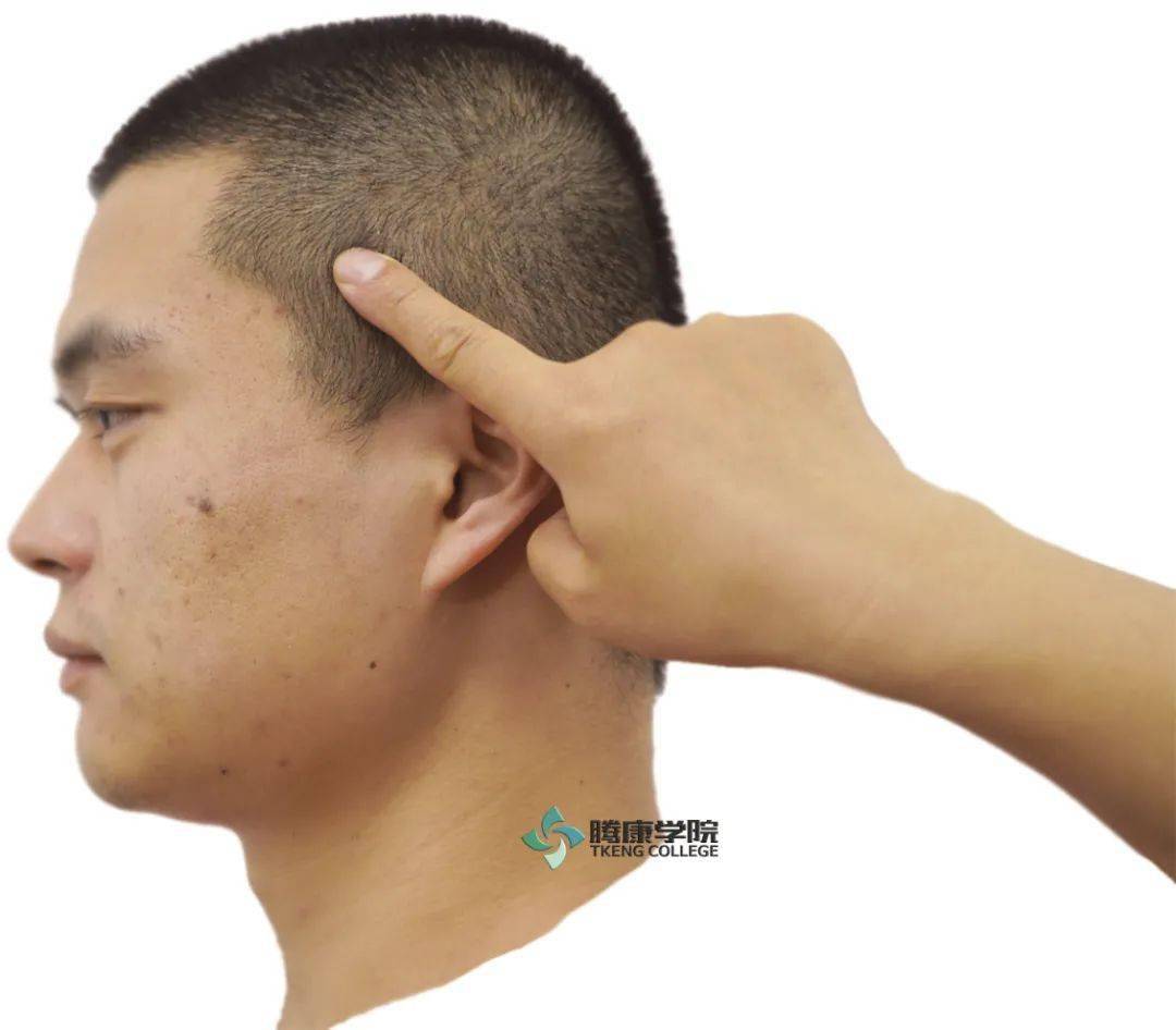 三叉神经_感觉