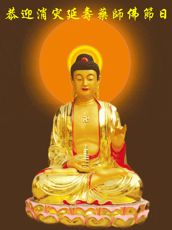 560_748竖版 竖屏gif 动态图 动图