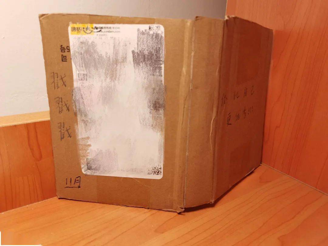 买珠不还椟,快来解锁"快递盒妙用"小技巧!_郭耀升