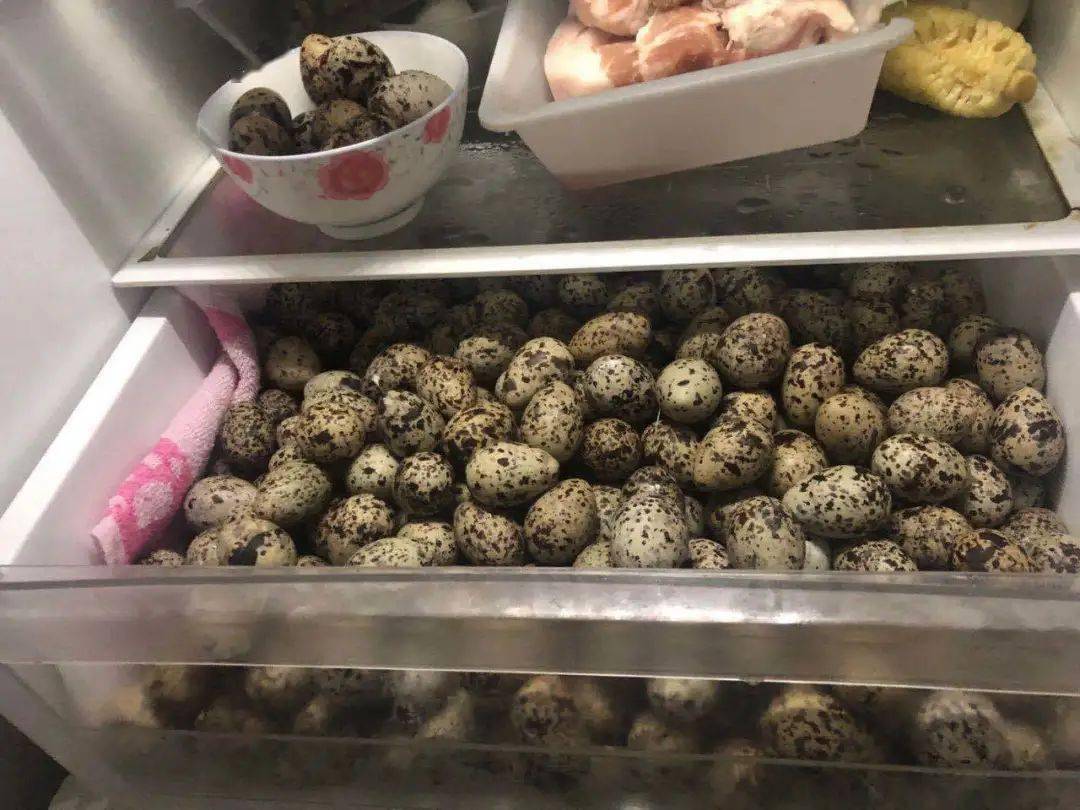 要好,听闻"野鸟蛋很补",便相约来此无人岛屿非法捡拾野生鸟蛋555枚,后