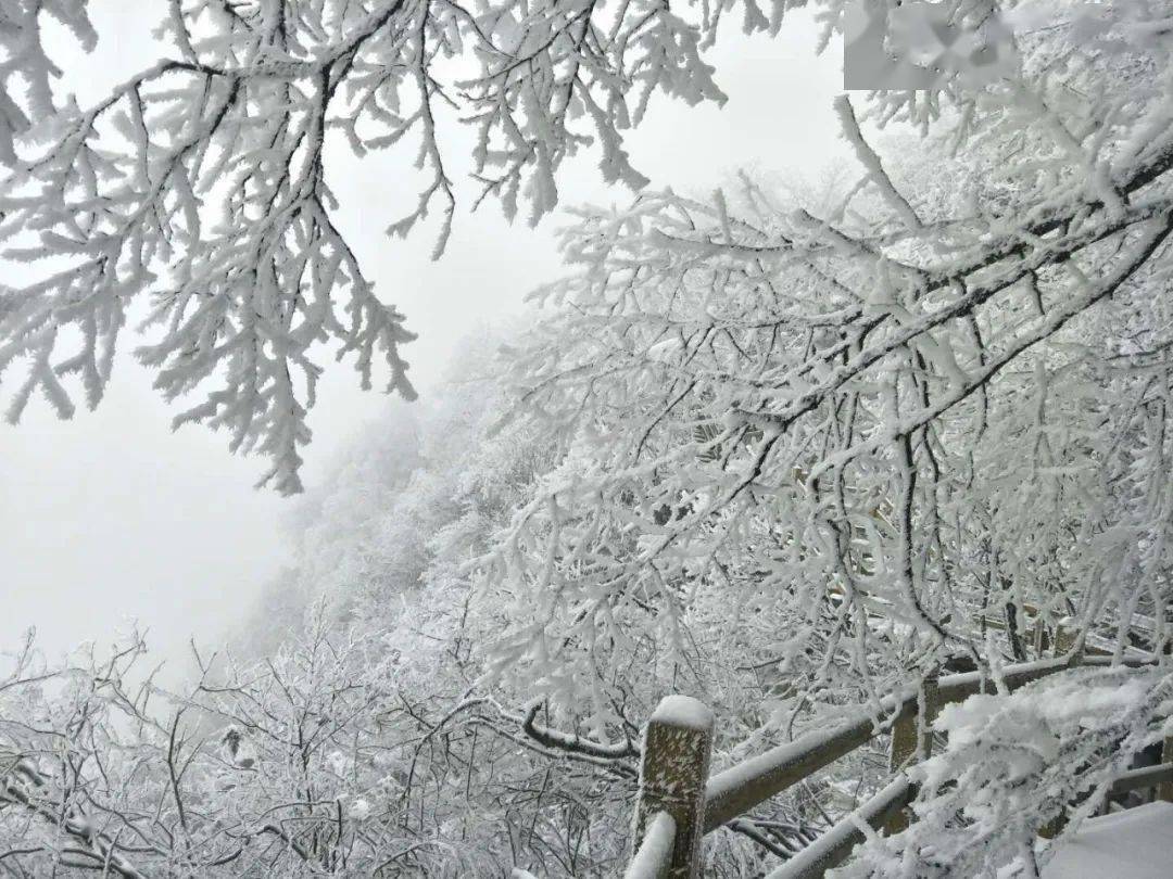 兰溪越龙山雪景图片