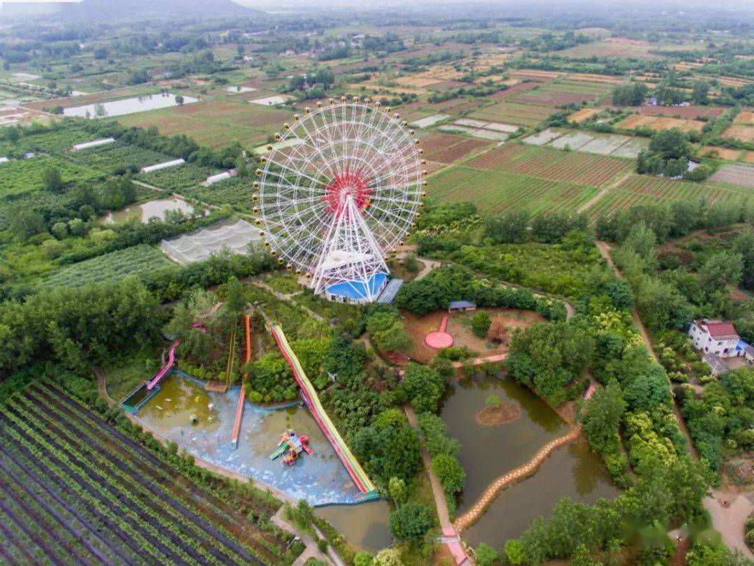 满满的幸福感仪征这里村民生活大康了