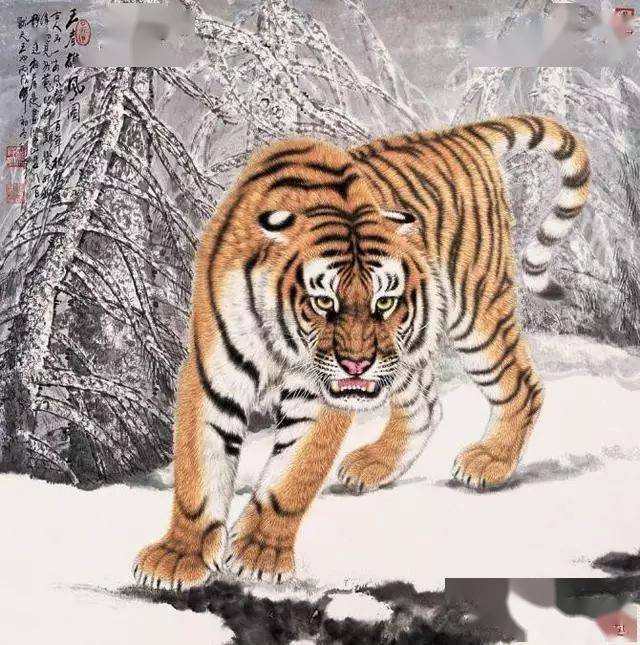 工笔老虎画的绘画过程工笔画老虎白描步骤与技法