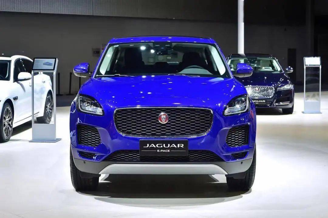 虎豹聚粤共襄盛事