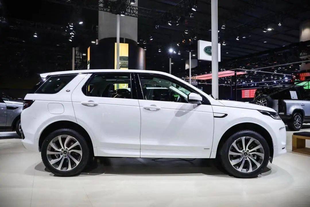 虎豹聚粤共襄盛事