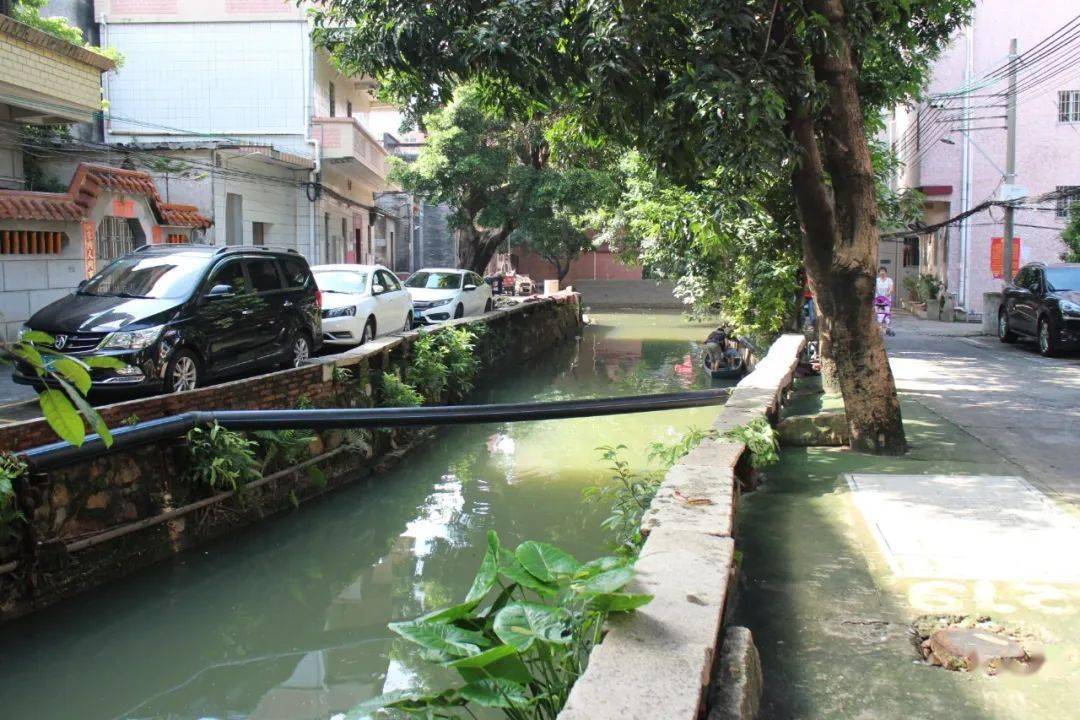 醉美乡村乡村振兴幸福来水藤村喜登人民周刊网人民新闻