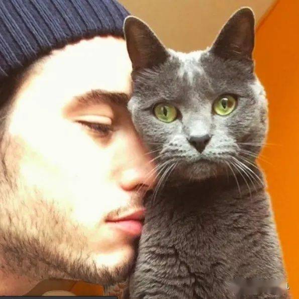 ins一组照片火了被帅哥极致宠爱是什么feel小猫咪最有发言权