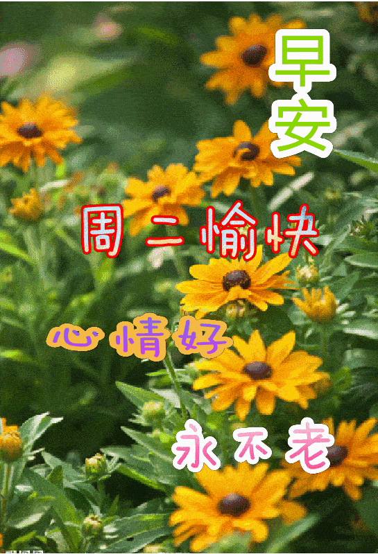 最新早上好问候语图片带字精选温馨早安快乐祝福问候图片带字