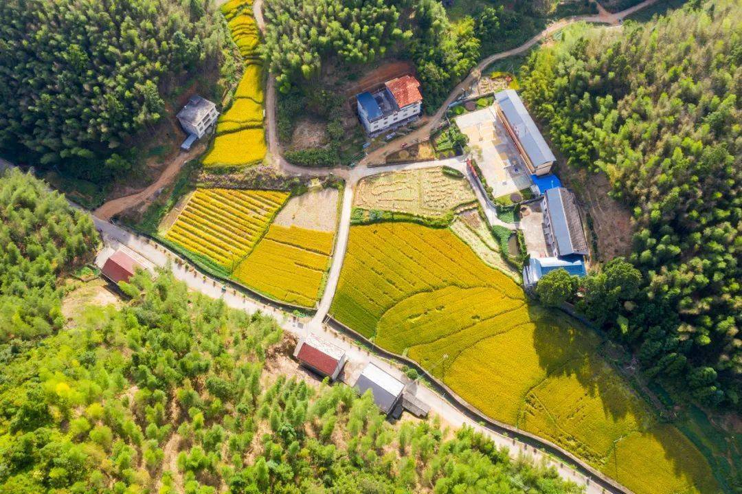 龙湖村 | 尤溪解放初期第一个党支部旧址_手机搜狐网