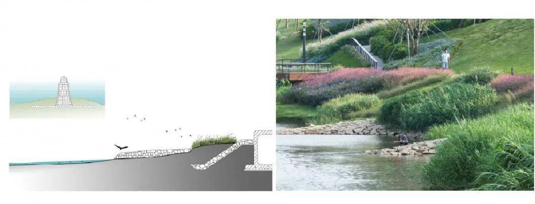 AR精选 | 重塑河道生命系统 ：深圳茅洲河碧道·光明段生态修复试点 — EADG_丁坝