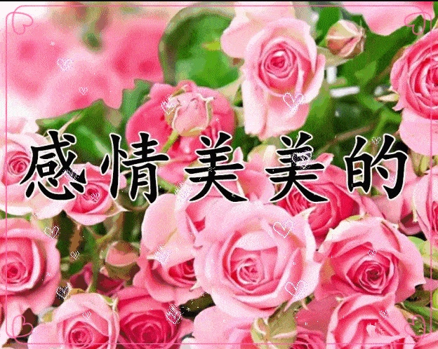 一首好听的歌送给你,注意保暖,愿你开心快乐~-搜狐大视野-搜狐新闻