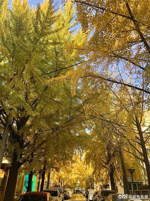 东花市街道黄昏美景