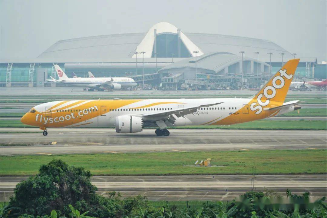 酷航宣布恢复武汉航点12月3日起每周一班往返新加坡