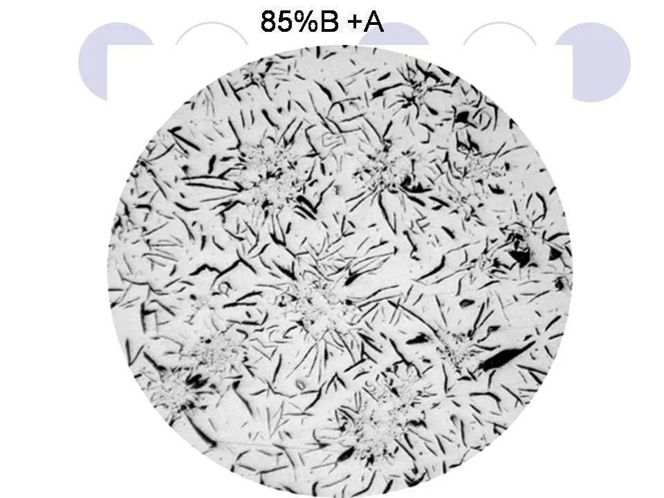 培训ppt:铸铁金相检验——灰铁