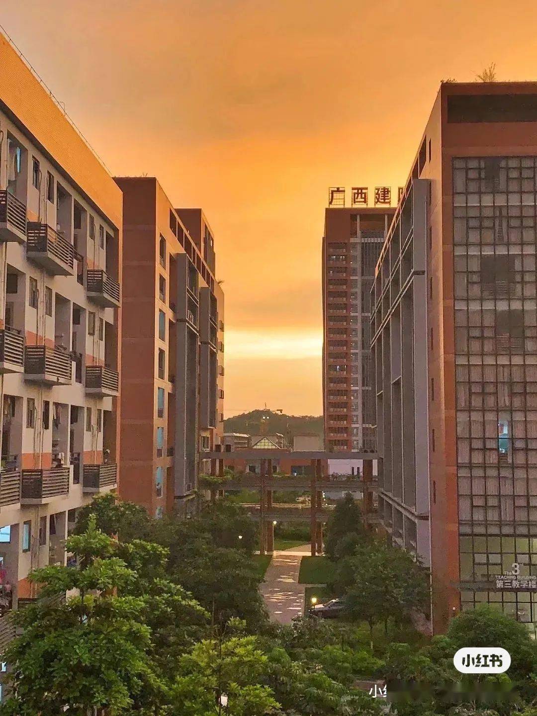 广西皇家建院真的不只有工地佬