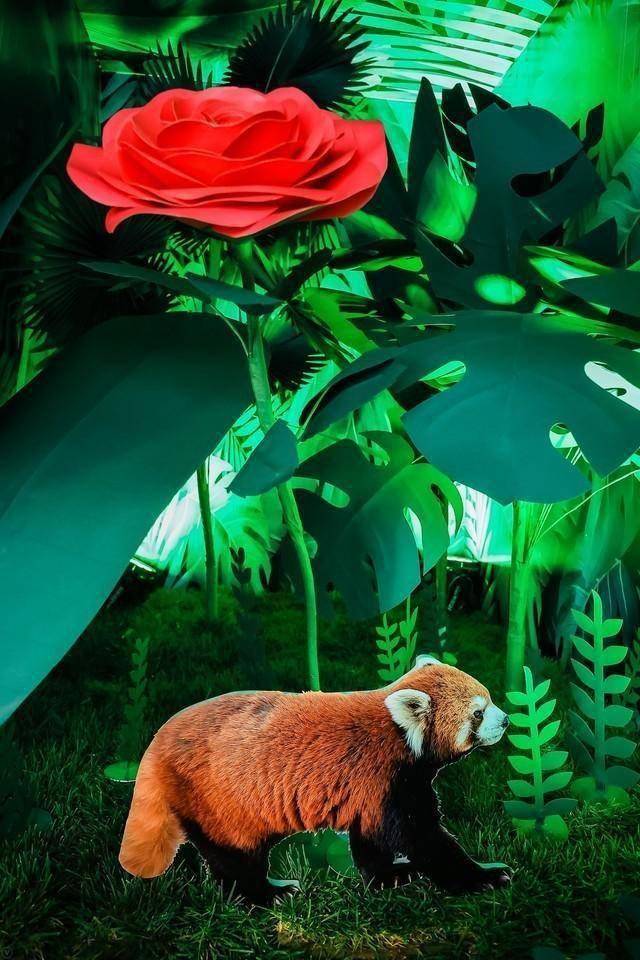 vivo举办丛林秘境创意展vivos7俘获摄影师芳心