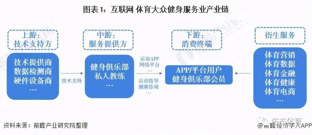 2020年中国互联网体育大众健身服务业发展现状分析