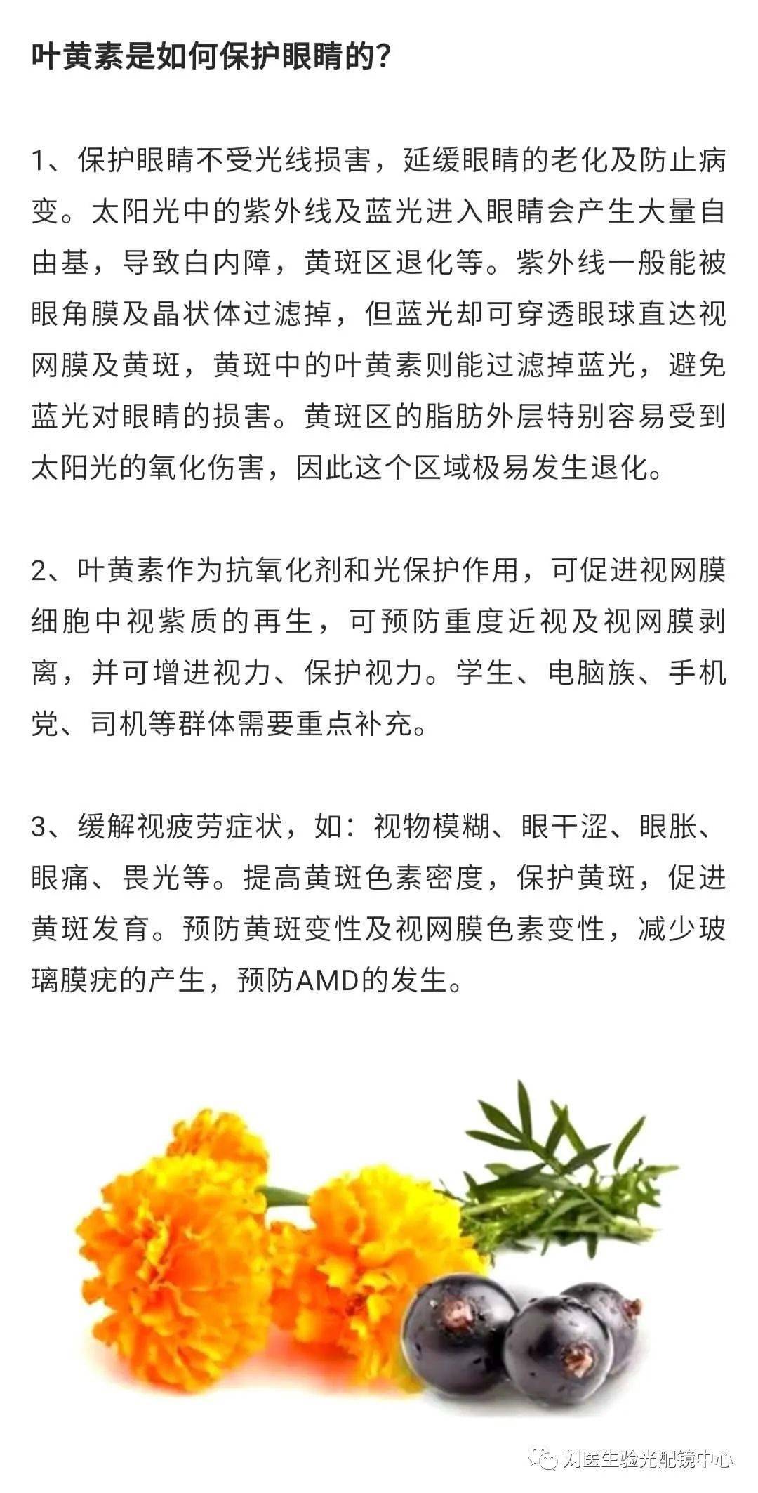 什么是叶黄素 来自搜狐网