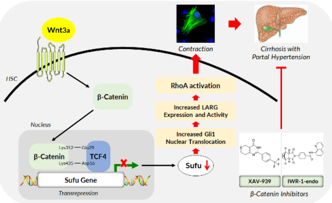 chess月评20年11月第三十九期