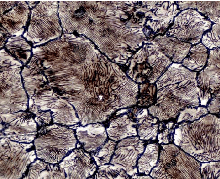 金相制样金相组织与金相检验