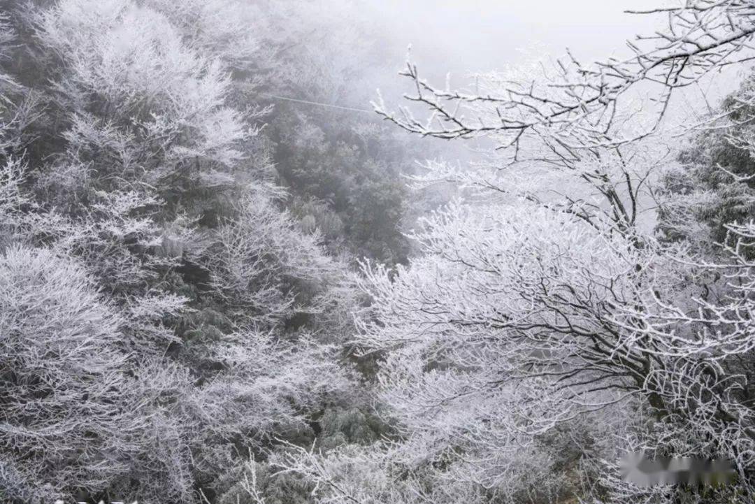 雷公山雪景图片图片