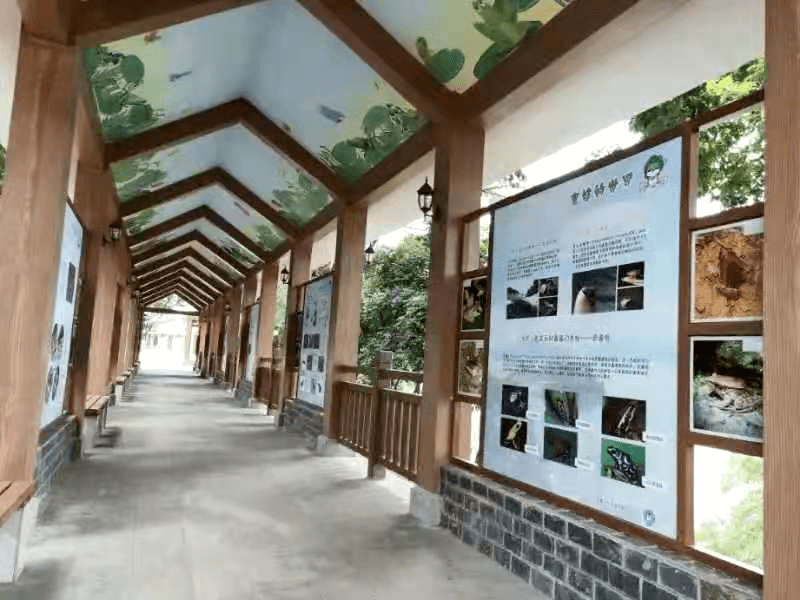 许愿放生 湿地科普长廊参观讲解01"秋收田园欢乐行"亲子秋游精彩内容