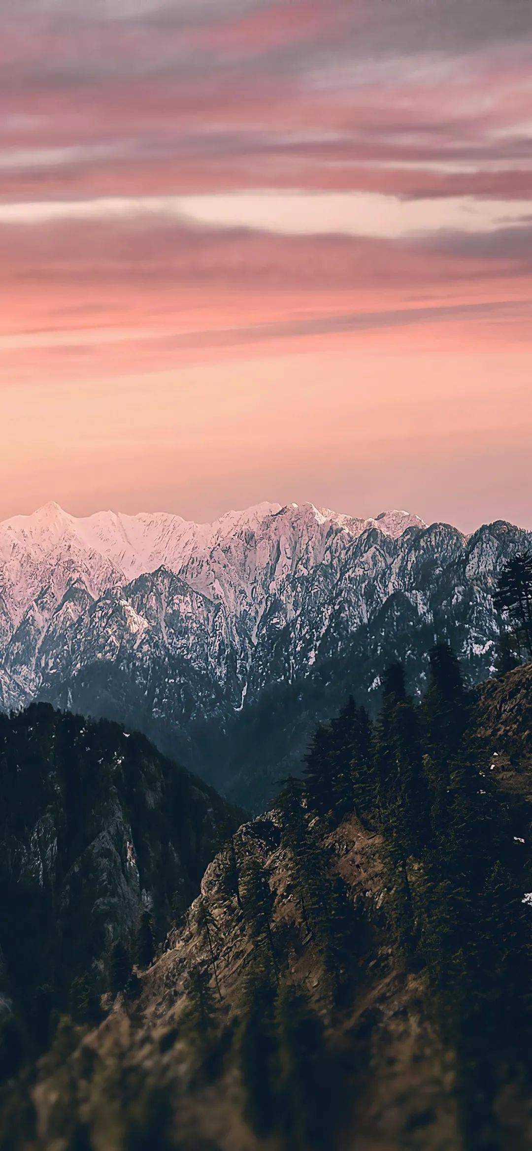 潮图 丨 2020-11-26