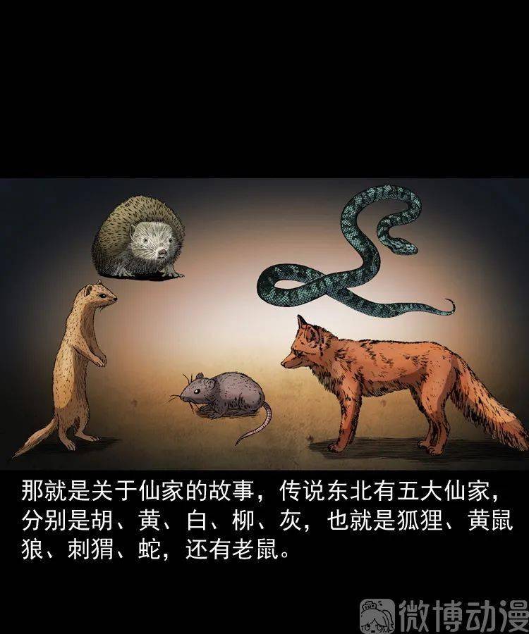 东北真的有这样的故事么?