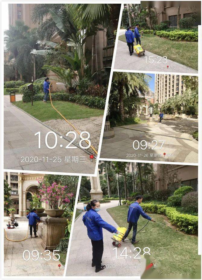 周报泉州万达公馆11月第四周物业服务工作