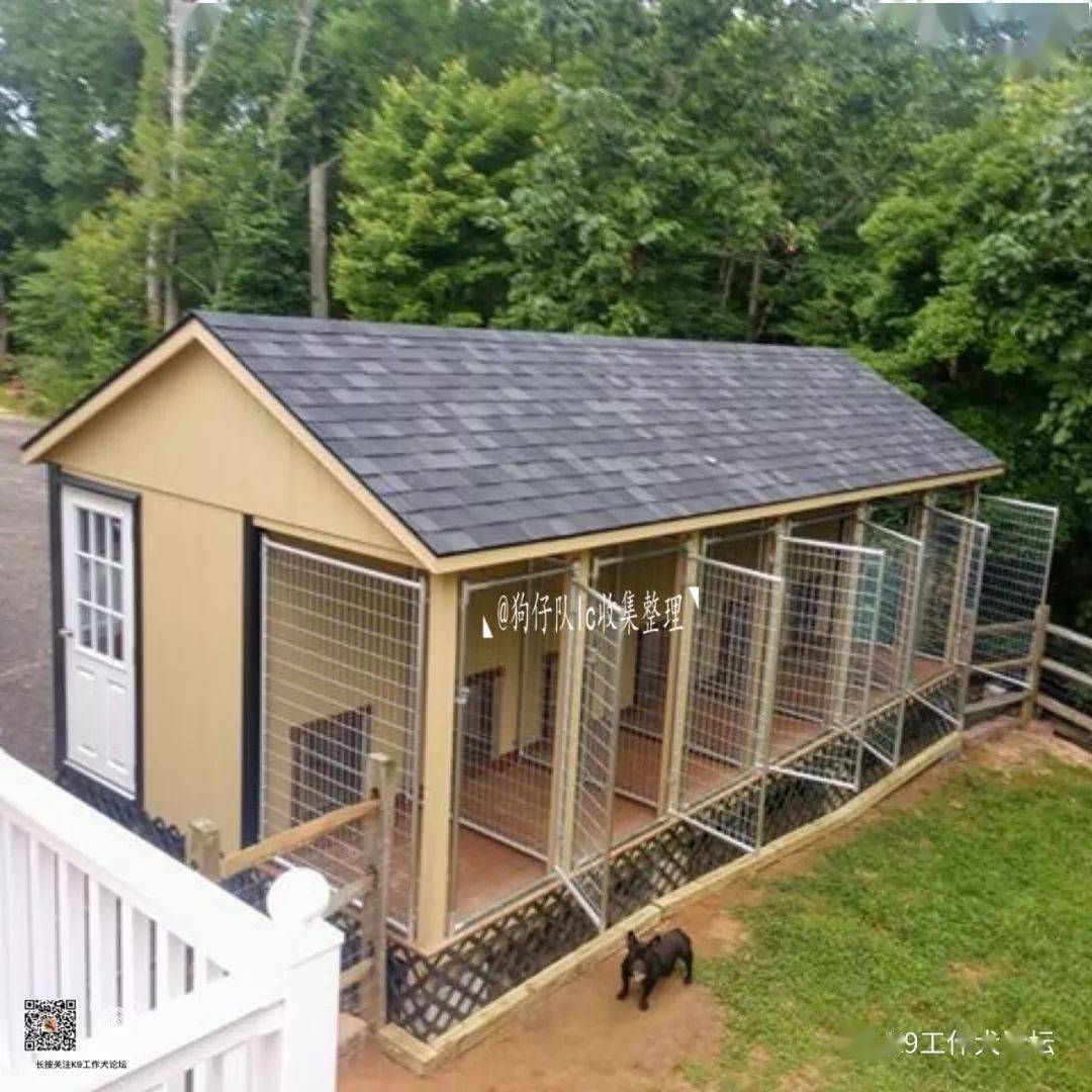 欧洲犬舍美图鉴赏