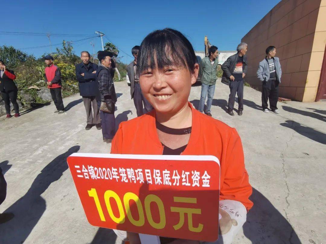 里通知我来领钱一下就热闹起来三合镇笼鸭养殖项目基地早早就来到现场