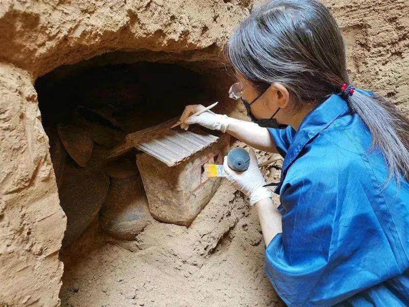 关注!陕西一西汉早期大型墓地考古获重大发现