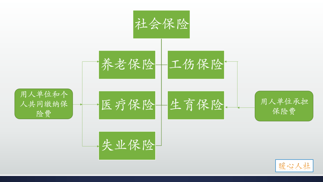 上海医保社保缴费标准_社保上海医疗怎么交_上海社保医疗