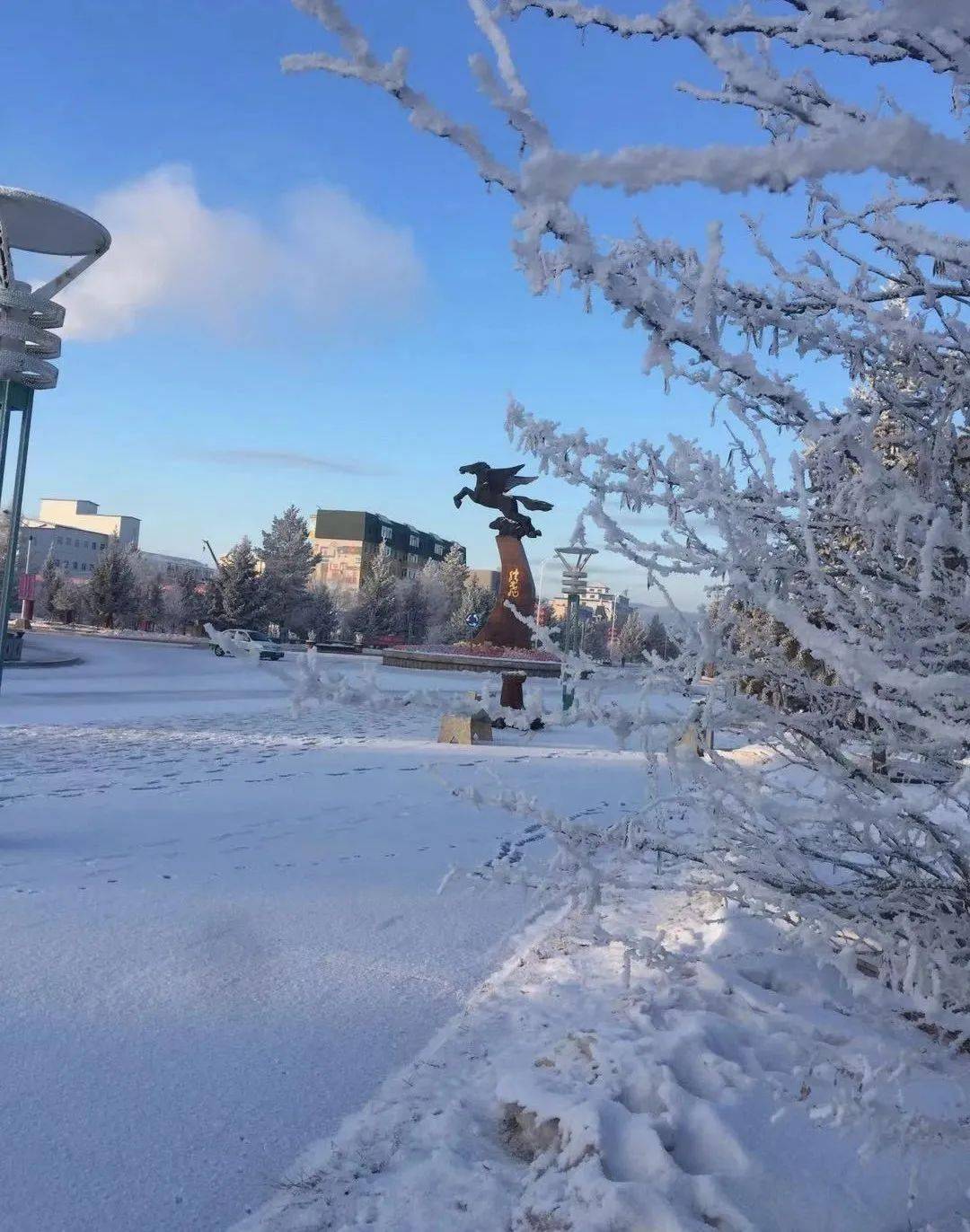 哇,大自然的杰作莫尔道嘎的雾凇