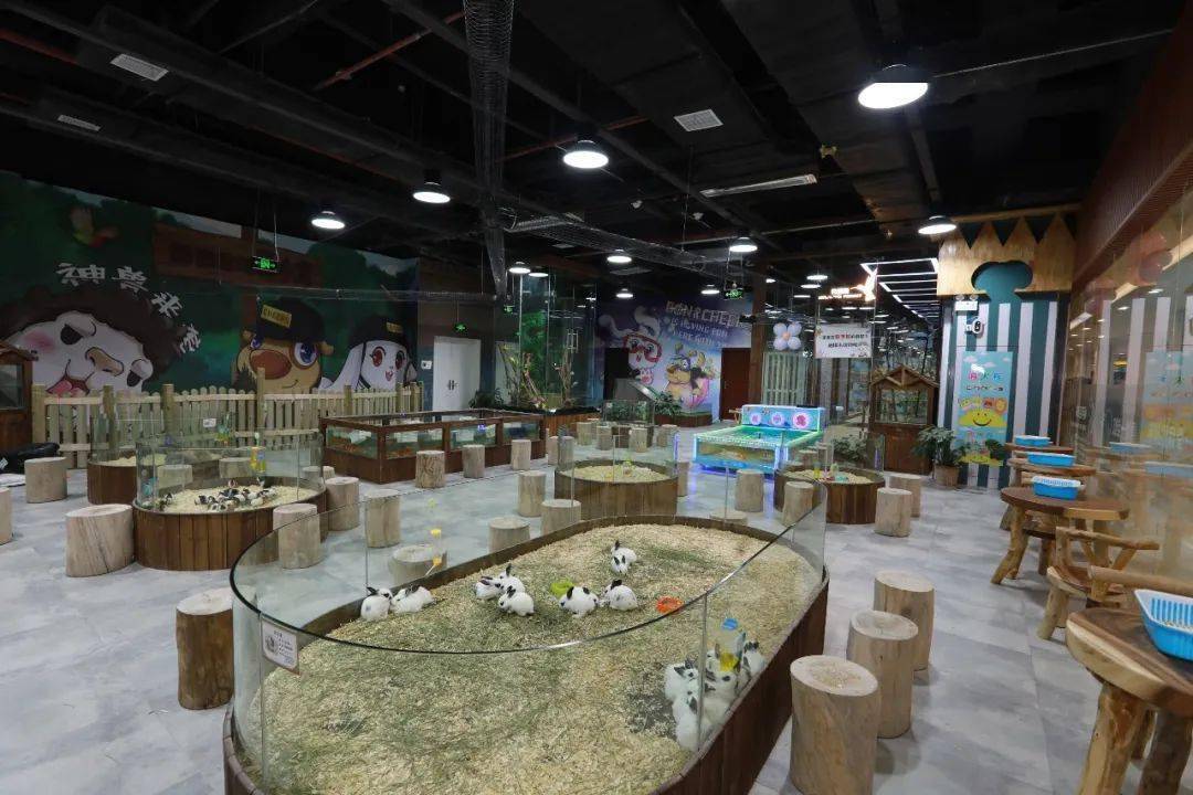 贵阳商场里的动物园399带你解锁动物城100多种动物萌翻你