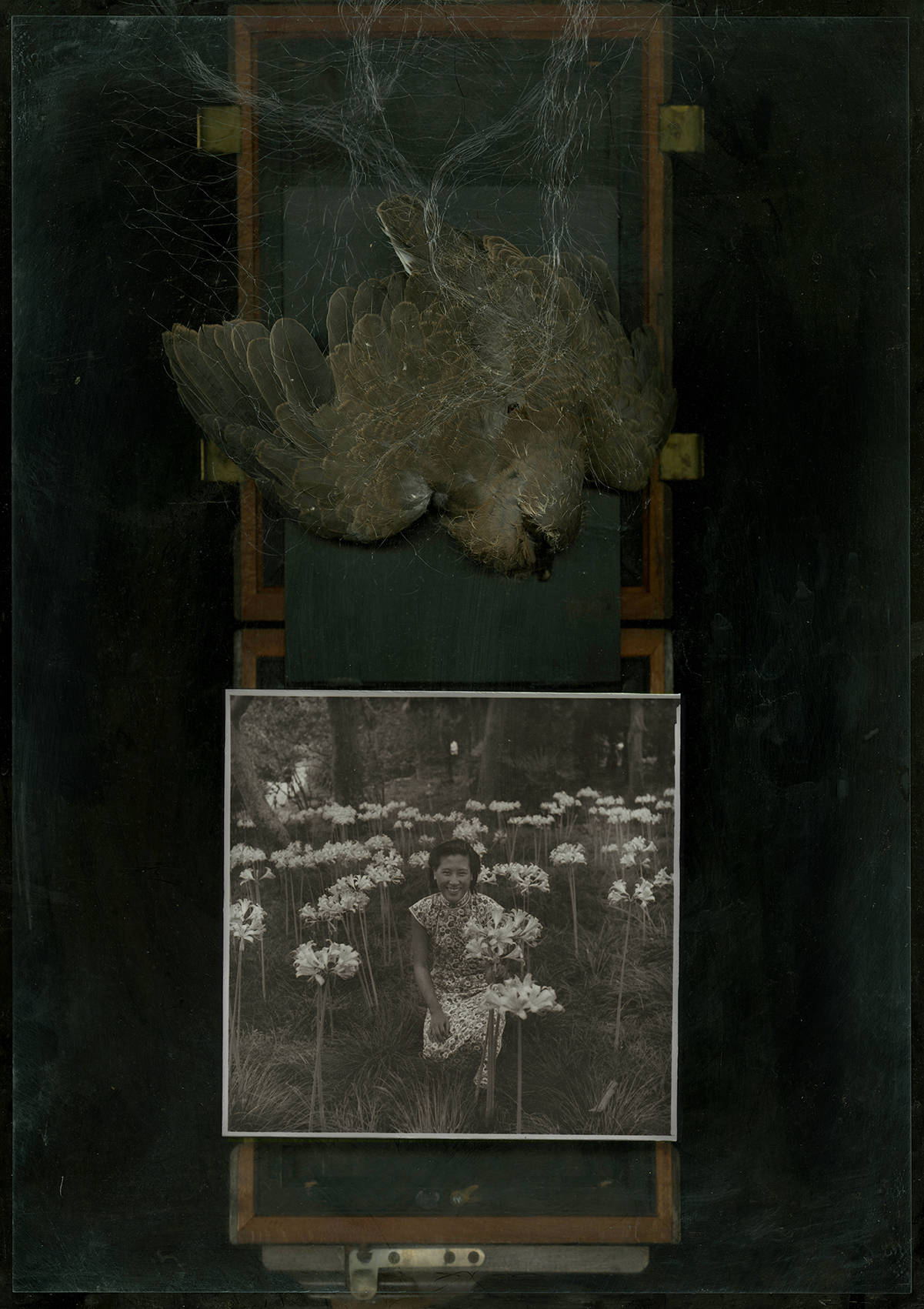 发现奖 蒲英纬2020jma 发现奖 周裕隆2020jma 发现奖 徐晓晓2020jma