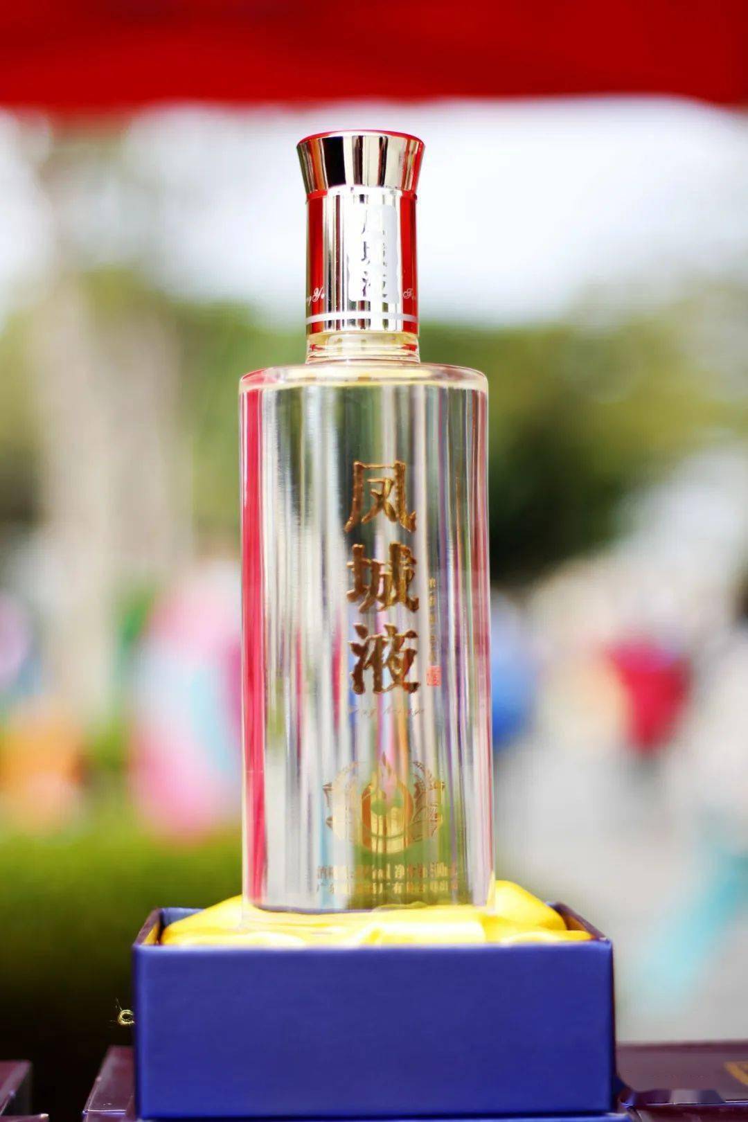 顺德伦教珠三角龙舟赛