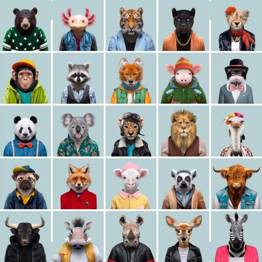 仔细观察家里的宠物,你会发现这几点居然是真的!_动物