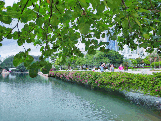 在鹭岛花园里的山海栖居处寻一场文化养心之旅